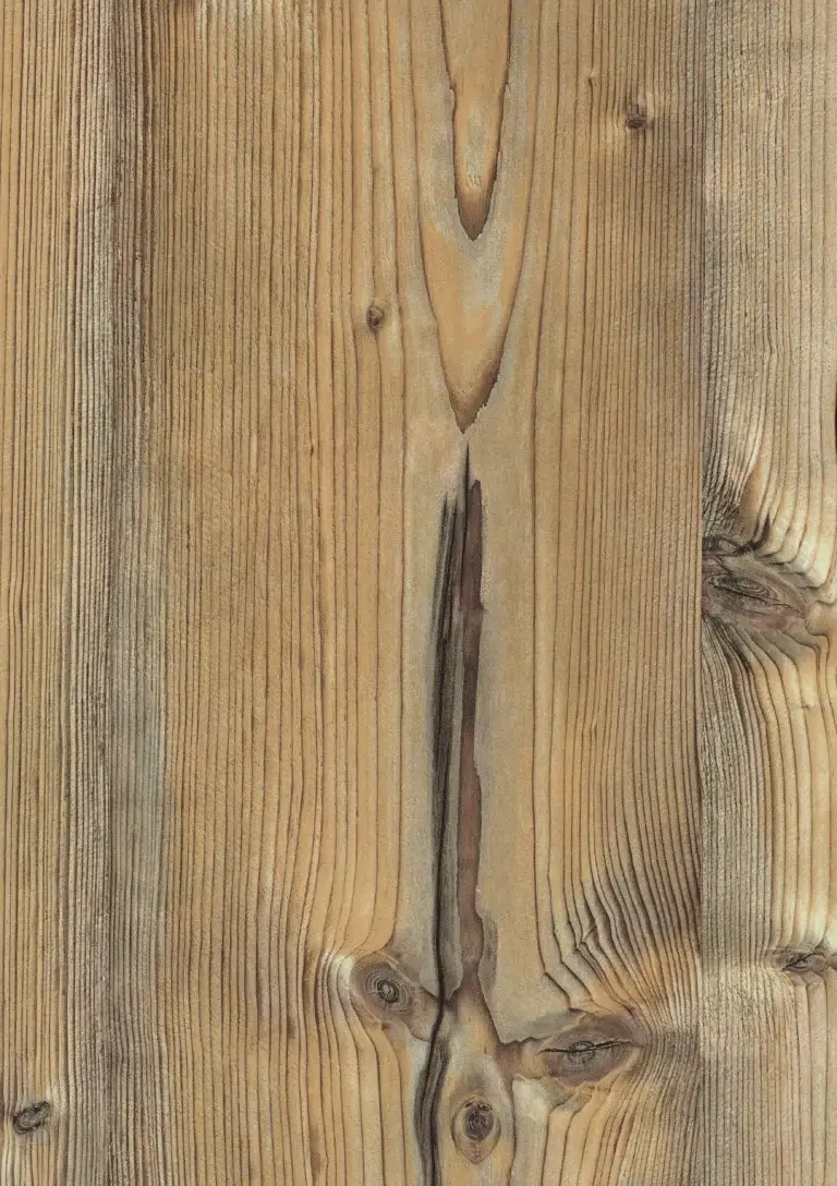 Egger · H1487 ST36 · Barmberg fenyő